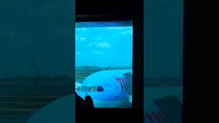 Planespotting in Singapore Changi ✈️✈️ shorts planespotting singaporechangiairport [upl. by Hsak]