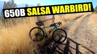 650B SALSA WARBIRD [upl. by Hesta27]