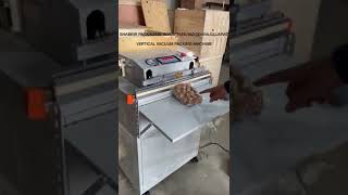 Smart Pack 500 W Vertical Sealer With Vaccum [upl. by Marlen]