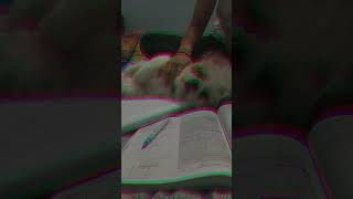 study new study motivation viralshort trendingshorts [upl. by Mia]