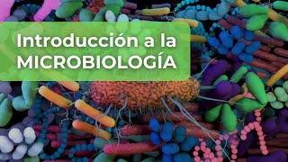 Conociendo los Virus Bacterias Hongos y Parásitos [upl. by Adnaluy663]