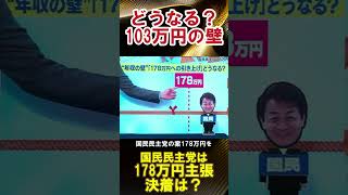 どうなる？103万円の壁日本 日本政治 石破茂 日本政府 総理大臣 石破総理 自民党 国民民主党 玉木雄一郎 所得税減税 消費税 103万円の壁 政策協議 経済対策 [upl. by Abby]