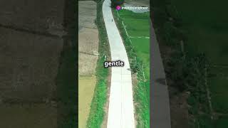 Road Design 101 Types of Gradients Explained part 2 civilengineering [upl. by Olegnaleahcim361]