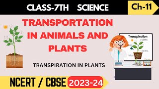 Class 7 Science I ChapterTransportation in animal and plant I Transpiration in plants [upl. by Aira353]