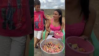 A mistura de frutas😅 parte 05 viralvideo shortvideo video youtubeshorts fyp shorts short [upl. by Mallen]