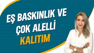 Eş Baskınlık ve Çok Alelli Kalıtım  Seda Hoca Biyoloji  34 Ders  sedahocabiyoloji tyt2023 [upl. by Winters]