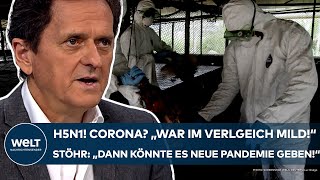 H5N1 quotCorona war im Vergleich mildquot Vierter VogelgrippeFall in USA Neue Pandemie Das sagt Stöhr [upl. by Khano]