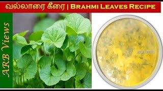 Brahmi Leaves Sambar Recipes in Tamil வல்லாரை கீரை சமையல் Brahmi Leaves  Vallarai Benefits [upl. by Notnil]