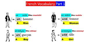 French Indefinite Articles Part 1 [upl. by Airbmak]