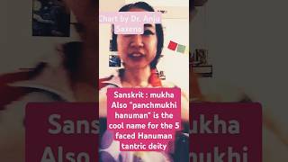 booktube kinnauri polysemy linguistics tibetanlanguage 嘴脸 ft Dr Anju saxena [upl. by Ventre]