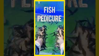 Fish Pedicure Side Effects shorts [upl. by Aicelaf]