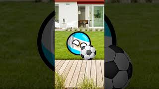 como cuidar a tu mascota argentina countryballs countrypets [upl. by Dex]