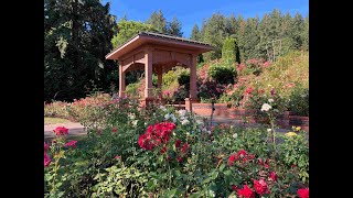 Portland Rose Garden [upl. by Deedahs]