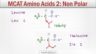 MCAT Amino Acids 2  Hydrophobic NonPolar Neutral Side Chains [upl. by Ahsasal]