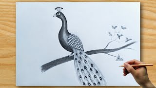 National Bird Drawing  Peacock Drawing Tutorial  How To Draw Peacock [upl. by Sucramat838]