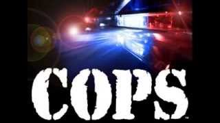 cops tv show full theme song [upl. by Eolanda]