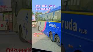 TGS RTC WL2 Warangal viralvideo automobile tsrtc travel ytshorts ytstudio [upl. by Ardelia]