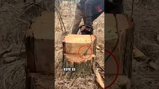 Unbelievable Lumberjack Expertise😳lisoryb24 [upl. by Ifen]