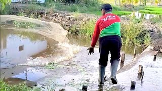 Fun Fishing Net Video  Catching fish in the river the traditional way fishing fish MullerCen [upl. by Baruch195]