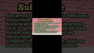 What is Subculture Sociology [upl. by Anirpas830]