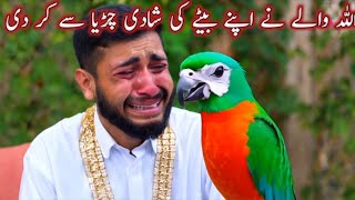 Allah Wale Ne Apne Bete Ki Shadi Ak Chdiya Se Kar DiAllah WaleIslamic Moral Story Urdu InHindi [upl. by Yllod]