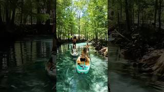 📍Ginnie Springs Florida [upl. by Ailasor706]