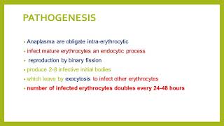 LECTURE ON ANAPLASMOSIS [upl. by Nnasus]