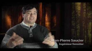 JeanPierre Saucier ingénieur forestier [upl. by Lita]