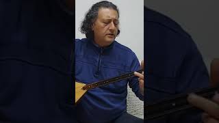 Gelmedin yar gelmedin türkü bağlama [upl. by Ahseekan]