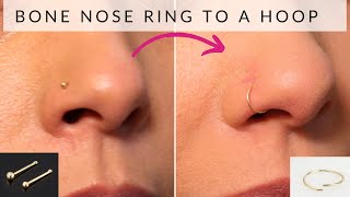 How to change bone nose ring to hoop nose ring [upl. by Nnov]