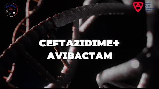 CeftazidimeAvibactam 🦠 [upl. by Howes]