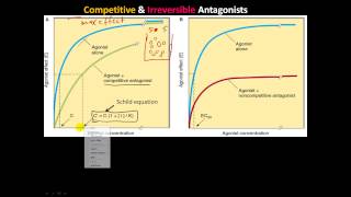 pharm4  ReceptorEffector and Spare Receptors Competitive Irreversible amp chemical Antagonists [upl. by Eegnat]