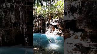 CENOTE de Uxmal Naturaleza mágica 🌴 cenotes cenote cenotesmexico mexico merida méridayucatán [upl. by Stahl]