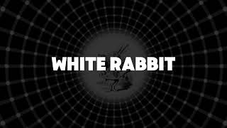 Grace Slick  White Rabbit feat Joe Hawley subtitulado español [upl. by Dagney614]