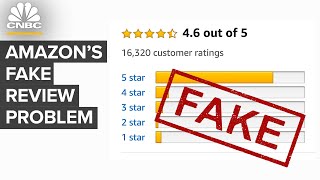 Why Amazon Has A Fake Review Problem [upl. by Atekan]