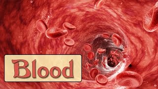 Easy Physiology  Blood  Introduction amp Plasma Proteins [upl. by Eimmis]