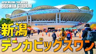 新潟のホーム開幕戦、デンカビッグスワンへ行ってみた  2023年 第3節 新潟×札幌 [upl. by Adnole433]