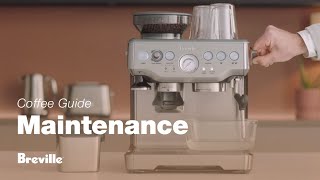 The Barista Express®  Our tutorial on how to descale your espresso machine  Breville USA [upl. by Nahsar]