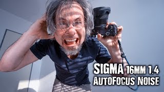 Sigma 16mm 14 after 2 month review  autofocus noise solution 🔊🔉🔈 Sony a6500a6300a6000a5100 [upl. by Eulalie]