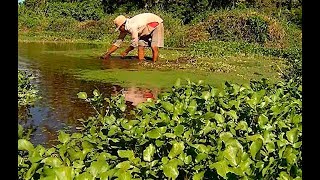 SECCIÓN EL AGRO  PRODUCCIÓN DE BERRO EN CHALCHUAPA [upl. by Gemoets]