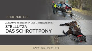 Zusammengebrochen und Beschlagnahmt – Stellutza das Schrottpony [upl. by Nylle]