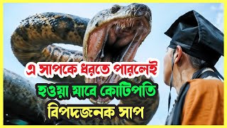 The anaconda movie explained in bangla  Fantasy  Adventure  thriller  Survival  Retu Jahan [upl. by Chery]