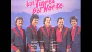 La Puerta Negra Los Tigres del Norte [upl. by Rutledge844]