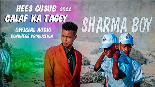 SHARMA BOY  NEW SONG  CALAF KAATAGEY TOLAY MALEH  OFFICIAL AUDIO [upl. by Nodnek]