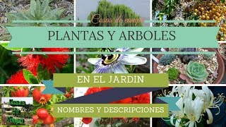 Plantas y arboles de jardín con nombres [upl. by Gomez442]