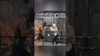 Boxing in the Matrix boxing [upl. by Pappano]