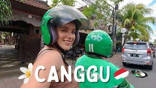 THE ULTIMATE GUIDE TO CANGGU BALI  Where To Stay What To Do  What The Hype Is All About [upl. by Solon]