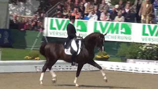 FLYNN PCH amp Hubertus Schmidt Qualifikationsprüfung LouisdorPreis Horses amp Dreams 2014 [upl. by Eohce]