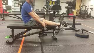 Tibialis Raise with Band or Kettlebell [upl. by Hemminger]