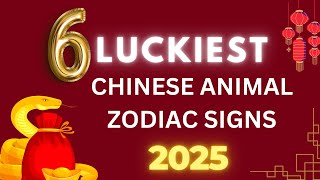 6 Luckiest Chinese Animal Zodiac Signs in 2025 [upl. by Gabel228]